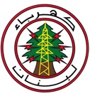 كهرباء لبنان بيان المواد الكيمائية في الجية